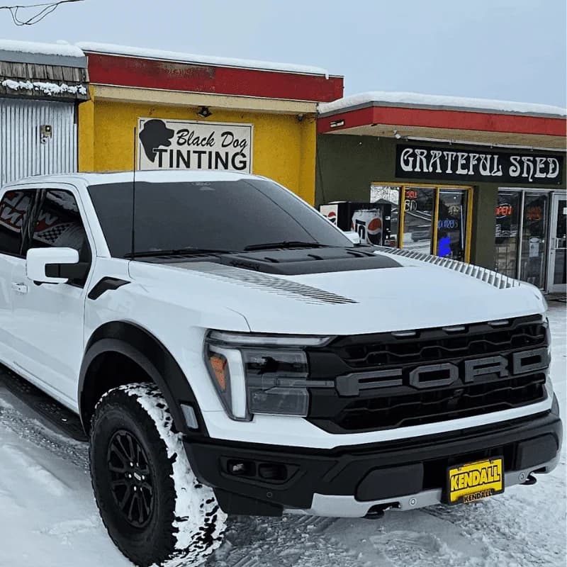 White Ford Raptor with fresh tint