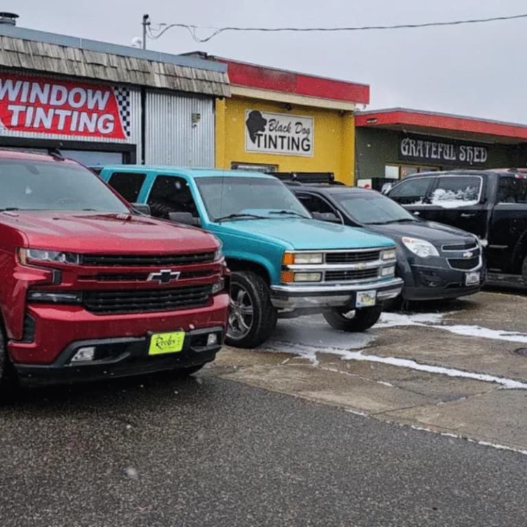 Multi-truck lineup outside Black Dog Tinting